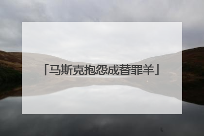 马斯克抱怨成替罪羊
