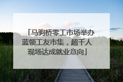 马驹桥零工市场举办蓝领工友市集，超千人现场达成就业意向