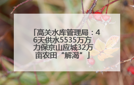 高关水库管理局：46天供水5535万方 力保京山应城32万亩农田“解渴”