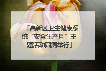 高新区卫生健康系统“安全生产月”主题活动圆满举行