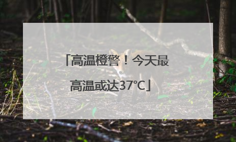 高温橙警！今天最高温或达37℃