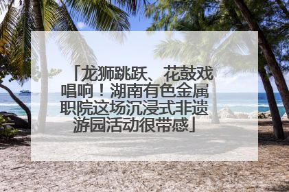 龙狮跳跃、花鼓戏唱响！湖南有色金属职院这场沉浸式非遗游园活动很带感