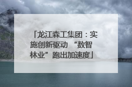 龙江森工集团：实施创新驱动 “数智林业”跑出加速度