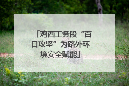 鸡西工务段“百日攻坚”为路外环境安全赋能