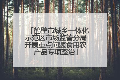 鹤壁市城乡一体化示范区市场监管分局开展重点问题食用农产品专项整治
