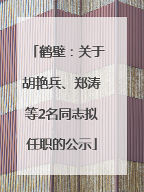 鹤壁：关于胡艳兵、郑涛等2名同志拟任职的公示