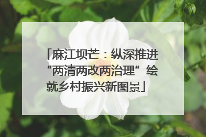 麻江坝芒：纵深推进“两清两改两治理”绘就乡村振兴新图景