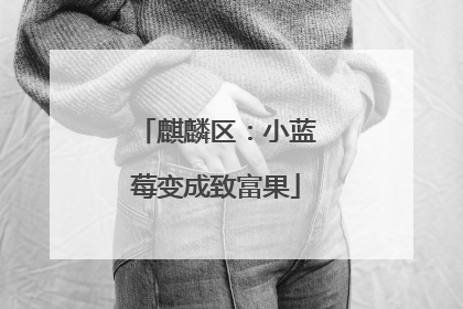 麒麟区：小蓝莓变成致富果