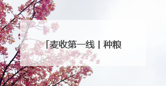 麦收第一线丨种粮大户老房：让专业的人干专业的事