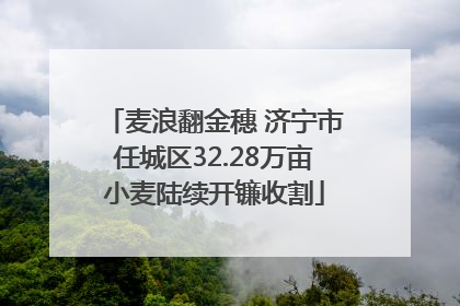 麦浪翻金穗 济宁市任城区32.28万亩小麦陆续开镰收割