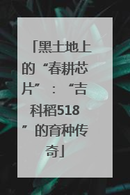 黑土地上的“春耕芯片”：“吉科稻518”的育种传奇