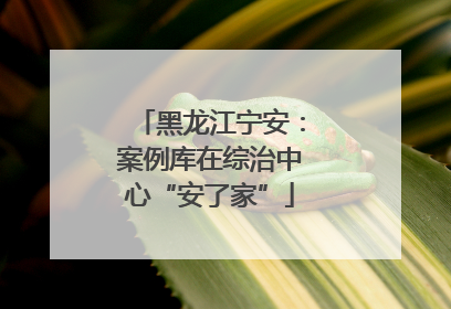 黑龙江宁安：案例库在综治中心“安了家”