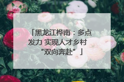 黑龙江桦南：多点发力 实现人才乡村“双向奔赴”