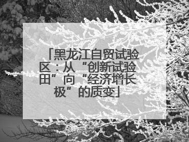 黑龙江自贸试验区：从“创新试验田”向“经济增长极”的质变