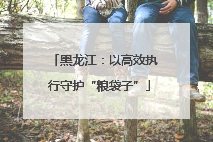 黑龙江：以高效执行守护“粮袋子”