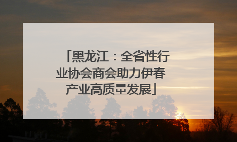 黑龙江：全省性行业协会商会助力伊春产业高质量发展