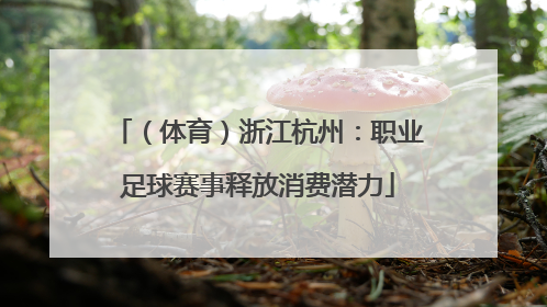 （体育）浙江杭州：职业足球赛事释放消费潜力