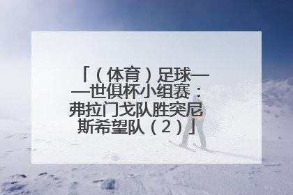 （体育）足球——世俱杯小组赛：弗拉门戈队胜突尼斯希望队（2）
