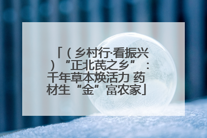 （乡村行·看振兴）“正北芪之乡”：千年草本焕活力 药材生“金”富农家