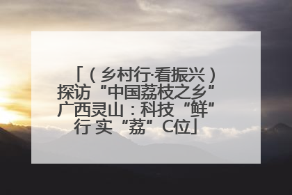 （乡村行·看振兴）探访“中国荔枝之乡”广西灵山：科技“鲜”行 实“荔”C位