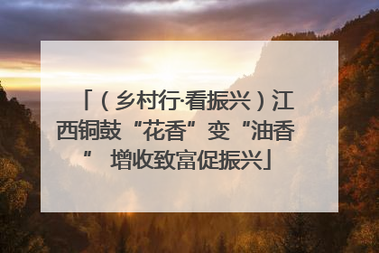 （乡村行·看振兴）江西铜鼓“花香”变“油香” 增收致富促振兴