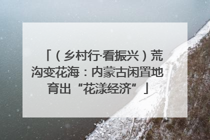 （乡村行·看振兴）荒沟变花海：内蒙古闲置地育出“花漾经济”