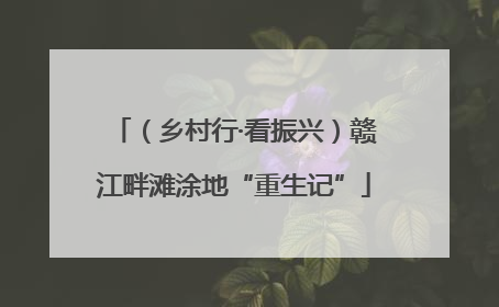 （乡村行·看振兴）赣江畔滩涂地“重生记”
