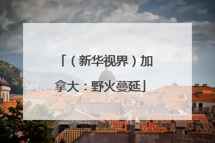 （新华视界）加拿大：野火蔓延