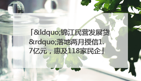“锦江民营发展贷”落地两月授信1.7亿元，惠及118家民企