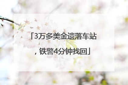 3万多美金遗落车站，铁警4分钟找回
