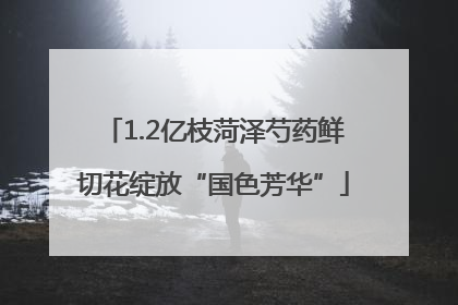 1.2亿枝菏泽芍药鲜切花绽放“国色芳华”