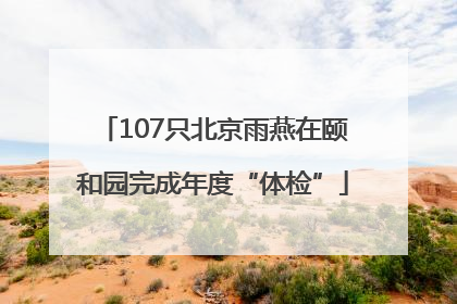 107只北京雨燕在颐和园完成年度“体检”