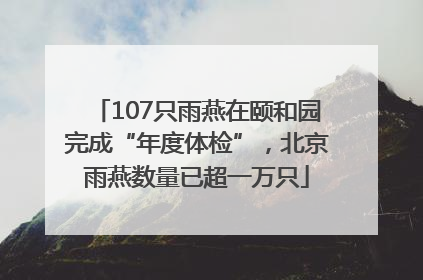 107只雨燕在颐和园完成“年度体检”，北京雨燕数量已超一万只