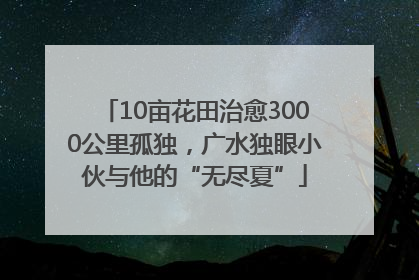 10亩花田治愈3000公里孤独，广水独眼小伙与他的“无尽夏”