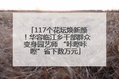 117个花坛焕新颜！华容临江乡干部群众变身园艺师 “咔嚓咔嚓”省下数万元