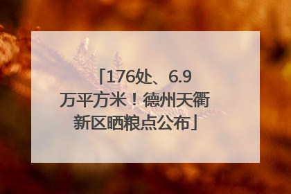 176处、6.9万平方米！德州天衢新区晒粮点公布