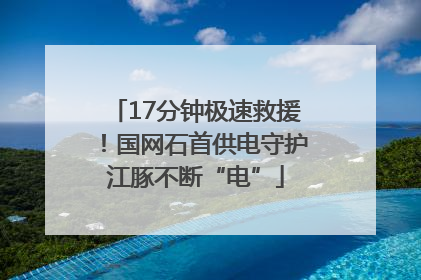 17分钟极速救援！国网石首供电守护江豚不断“电”