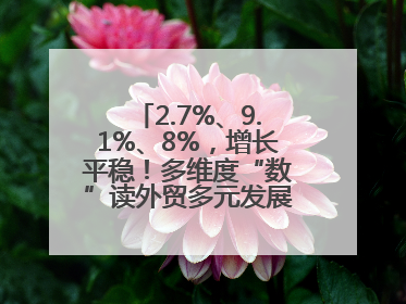 2.7%、9.1%、8%，增长平稳！多维度“数”读外贸多元发展、综合优势明显