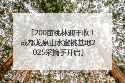 200亩桃林迎丰收！成都龙泉山水蜜桃基地2025采摘季开启
