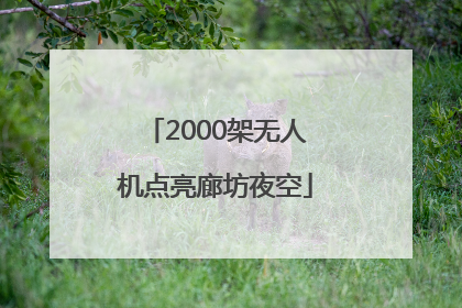 2000架无人机点亮廊坊夜空