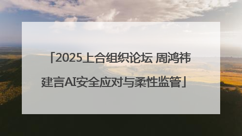 2025上合组织论坛 周鸿祎建言AI安全应对与柔性监管