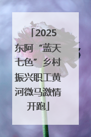 2025东阿“蓝天七色”乡村振兴职工黄河微马激情开跑