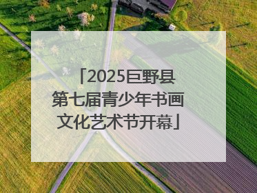 2025巨野县第七届青少年书画文化艺术节开幕