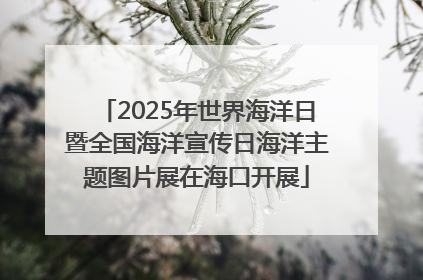 2025年世界海洋日暨全国海洋宣传日海洋主题图片展在海口开展