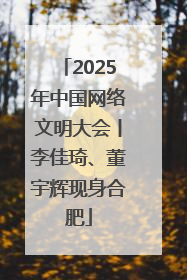 2025年中国网络文明大会丨李佳琦、董宇辉现身合肥