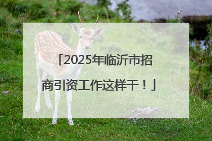 2025年临沂市招商引资工作这样干！