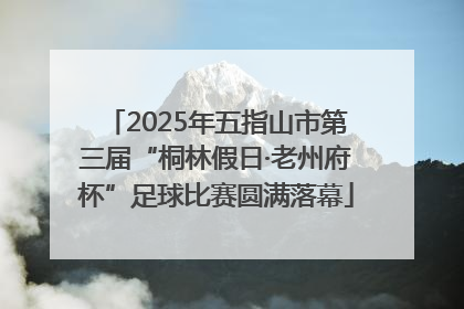 2025年五指山市第三届“桐林假日·老州府杯”足球比赛圆满落幕