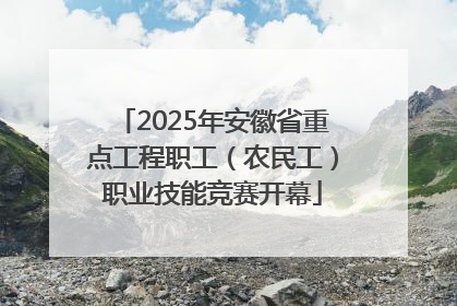 2025年安徽省重点工程职工（农民工）职业技能竞赛开幕
