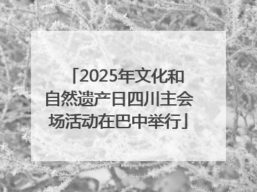 2025年文化和自然遗产日四川主会场活动在巴中举行