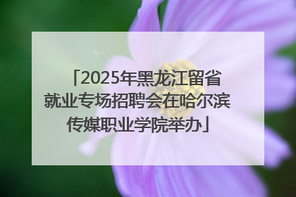 2025年黑龙江留省就业专场招聘会在哈尔滨传媒职业学院举办
